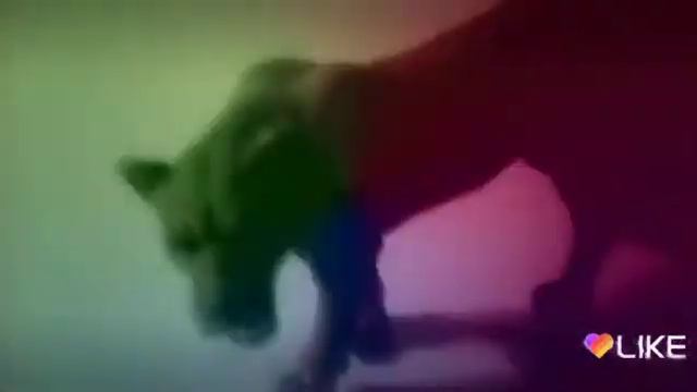 Зира и клип смотреть онлайн