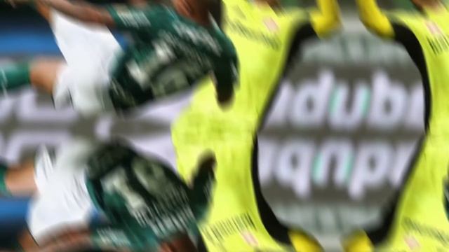 NOTÍCIAS DO PALMEIRAS - "Maior oportunidade da carreira" diz Marcelo Lomba novo goleiro do Palmeira смотреть онлайн