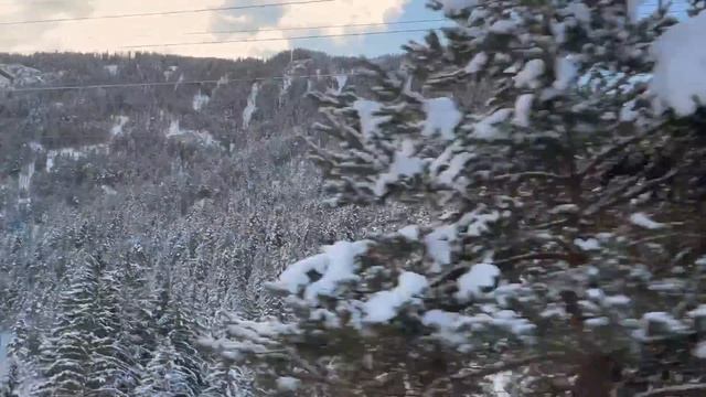 BMW X5, G05, 25d С ПРИЦЕПОМ 2500 кг !!!