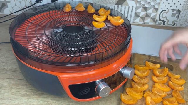 Домашний йогурт в сушилке Волга-9 Великие реки и сухофрукты смотреть онлайн