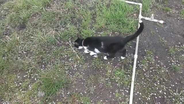 Что посеял, то и раскидаю. Расчистка участка от пней, земельные работы. смотреть онлайн