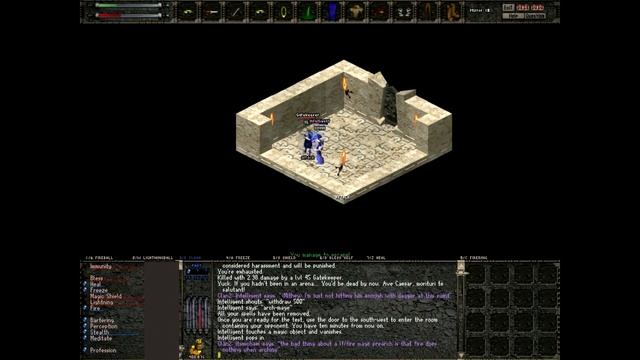 Astonia 3.5 - Arch-Mage Gatekeeper Tips смотреть онлайн