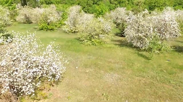 SPRING T:ME смотреть онлайн