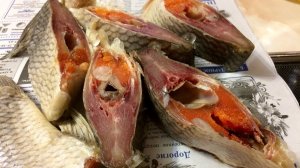 Язь сухого посола 2 часть + дегустация.