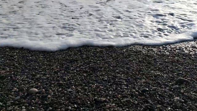 Черное Море ПИЦУНДА смотреть онлайн