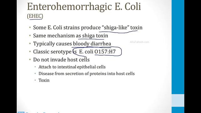 Infectious Diseases - 1. Basics Of Microbiology - 5.Virulence Atf