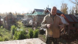 Правильное освещение в курятнике зимой. Одно правило.