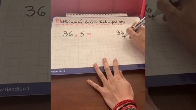 Multiplicación de dos dígitos por uno - 4 to básico смотреть онлайн