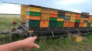 Кочевка 24 продолжение