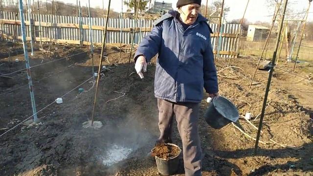Внесение органических удобрений весной под виноград смотреть онлайн
