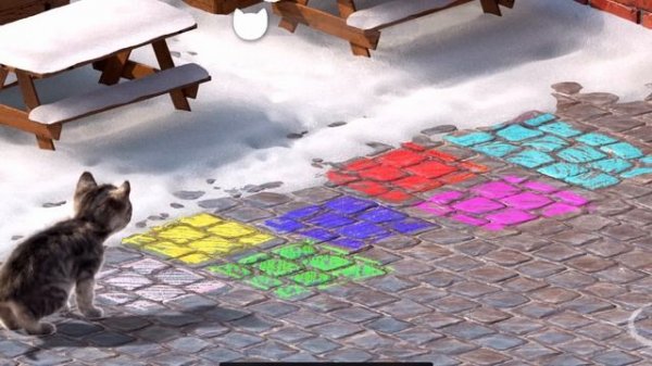 SPECIAL LITTLE KITTEN ADVENTURE MEOW - CARE FOR THE KITTEN AND HER SPECIAL LONG ADVENTURE JOURNEY