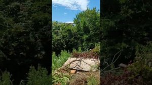 #санаторий #Аврора. Дорога к морю 1 мин. #Проверка