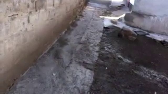 Спасибо Родителям. Папе и Маме. вы самы лучшие)). смотреть онлайн