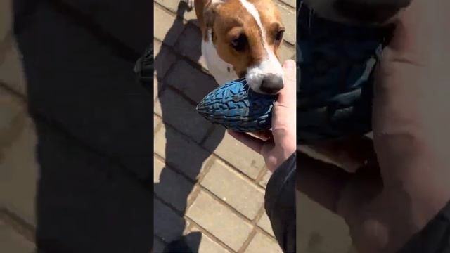 Воспитание в игровом процессе смотреть онлайн