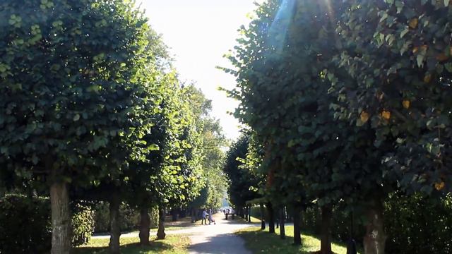 Autumn in the park / Усадьба Кусково осенью смотреть онлайн