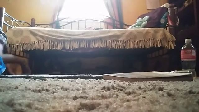 Clean my room tips and tricks смотреть онлайн