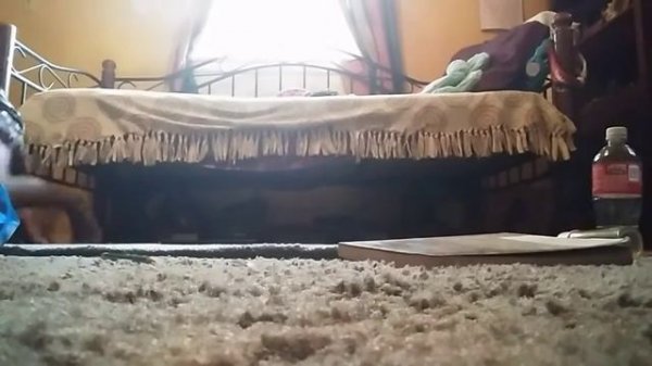 Clean my  room tips and tricks