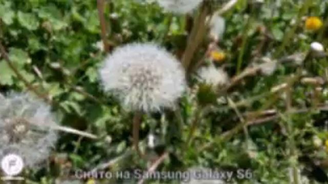 Секреты и обзор Samsung galaxy S6 смотреть онлайн