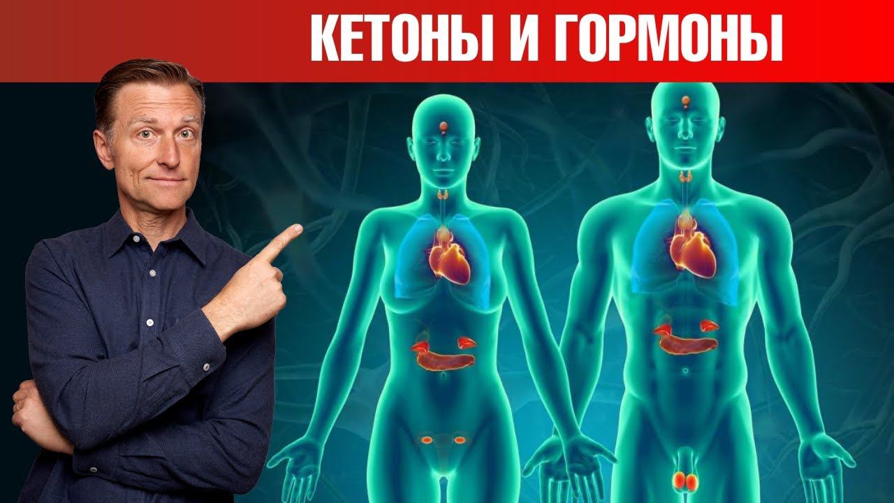 Как кетоны влияют на гормональную систему? Баланс гормонов смотреть онлайн