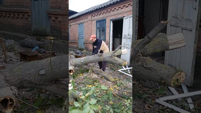 "Славлю свой народ". Помощь другу - святое дело! смотреть онлайн