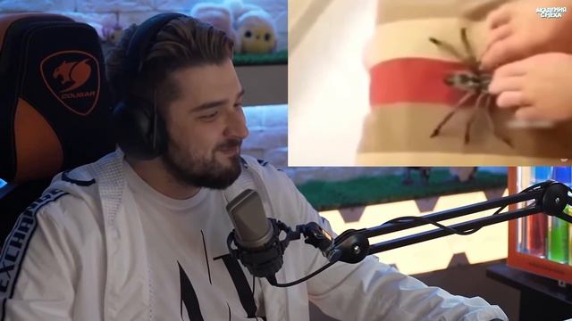 HARD PLAY СМОТРИТ 625 СЕКУНД СМЕХА ТЕСТ НА ПСИХИКУ! ПРИКОЛЫ 2021, COUB, TIK TOK смотреть онлайн
