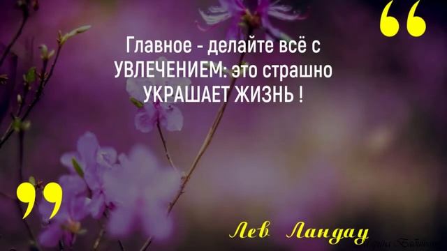 Цитаты о Хобби и Творчестве. смотреть онлайн