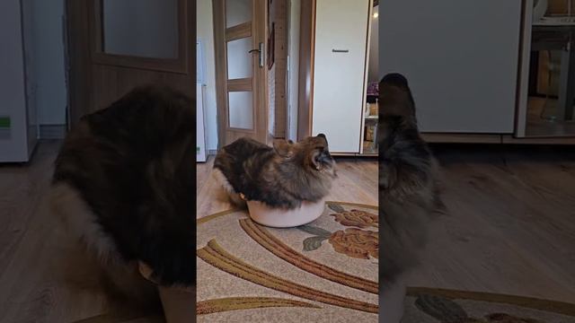 Когда забыл, что вырос смотреть онлайн