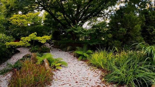 Старейший ботанический сад 1587 года . Системный сад. Mедитативно-созерцательная прогулка смотреть онлайн