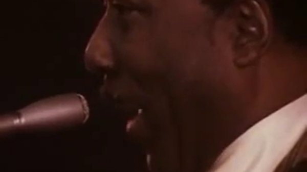 Muddy Waters plays Manish Boy