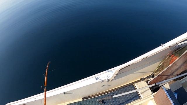 Мы попали в РЫБУ! РЫБАЛКА в Норвегии с ЛОДКИ! Норвегия. Рыбалка. Менёк. Морской окунь. Мольва. смотреть онлайн