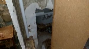Как заменить «водяные стояки» на полипропилен... с врезкой вниз к соседям.