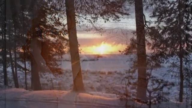 СНЕГ ШАЛЬНОЙ - гр. Белый день смотреть онлайн