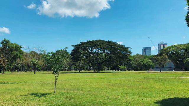 Lumpini park Парк Люмпини смотреть онлайн
