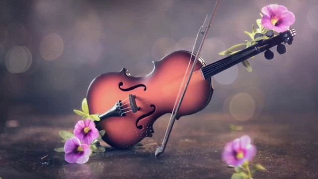 Плач, скрипка моя, плач. Песня собственного сочинения. #скрипка #деревенскаяжизнь #баян #баянист смотреть онлайн