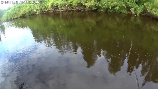 ВТОРОЙ ДЕНЬ ТРЕХ ДНЕВНОГО СПЛАВА ДОЧКА ЛОВИТ ЩУКУ А БАТЯ ОКУНЕЙ смотреть онлайн