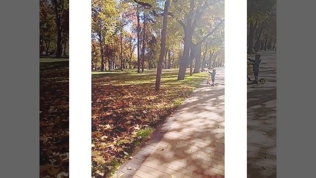 Омар Хайям “Кто понял жизнь” смотреть онлайн