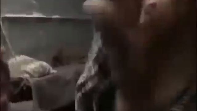 ДЮША АПОСТОЛ / ГОЧА / ДЯДЯ КОКА / ВОВАН