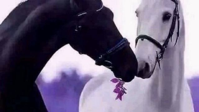 Моя Любовь.Мои стихи Ангел Хранитель Поэт смотреть онлайн