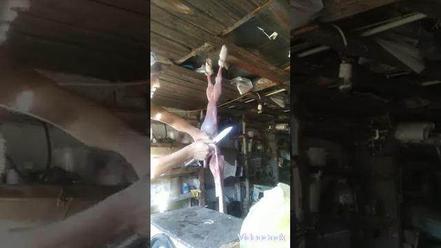 кролики не только милые, но и вкусные смотреть онлайн