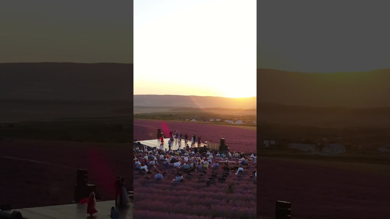 Фестиваль "Природа Искусства" в лаванде. Скоро! #music #natureofart #sevbal #lavender #festival смотреть онлайн