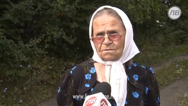 В Грязинском районе дачные воры крадут только... смотреть онлайн