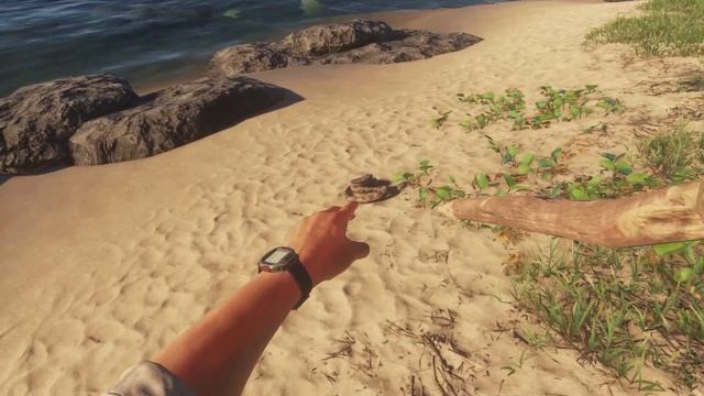 ВСЕ СУЩЕСТВА Stranded Deep