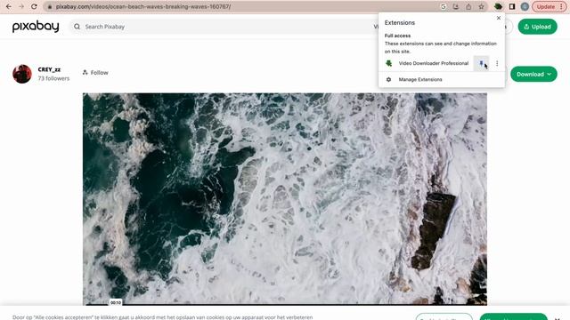 How to Download any Video from any Website on Chrome for FREE (2023) смотреть онлайн