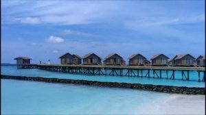 Мальдивы. Centara Ras Fushi Resort & SPA Maldives4*. Свадебное путешествие