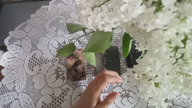 Финансовая ситуация 💰 гадание Таро расклад смотреть онлайн