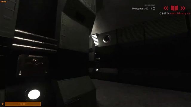 Типичные игроки Runic Library | SCP:SL