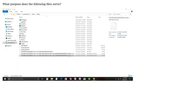 Does My Computer/user Profile Need This Many NTUSER.DAT Files?