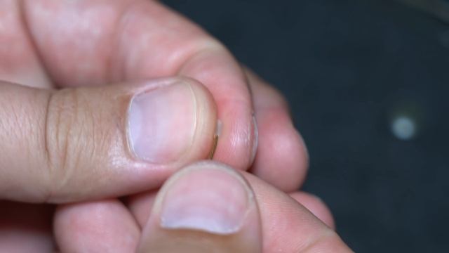 КАК СВЯЗАТЬ САМЫЙ ПРОСТОЙ КАРПОВЫЙ ПОВОДОК! Бюджетный вариант от А до Я. смотреть онлайн