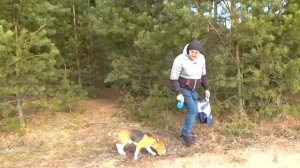 ОГРОМНЫЙ МАГНИТ ПРОТИВ СИРЕНОГОЛОВОГО. У ШЕРЛОКА НОВЫЙ ПЛАН. БРОС ШОУ ПЕТ