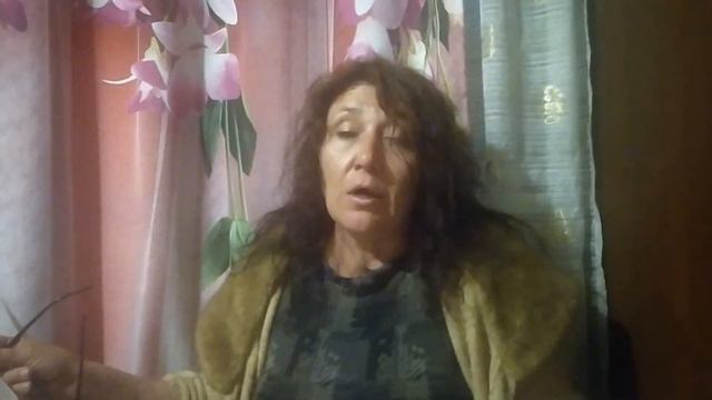 Умом Россию не понять... #осгтвбрянщины #летопись32 #жуковка смотреть онлайн